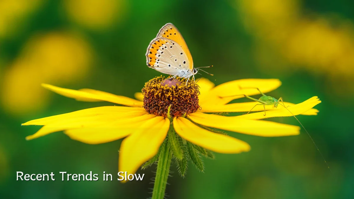 Recent Trends in Slow