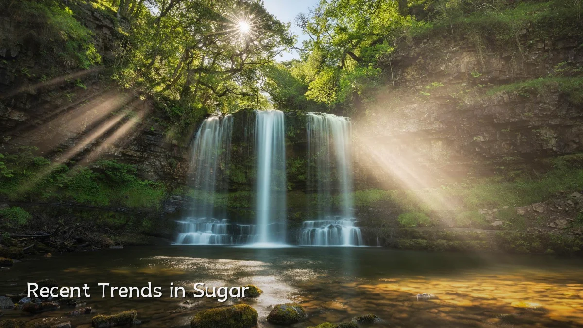 Recent Trends in Sugar