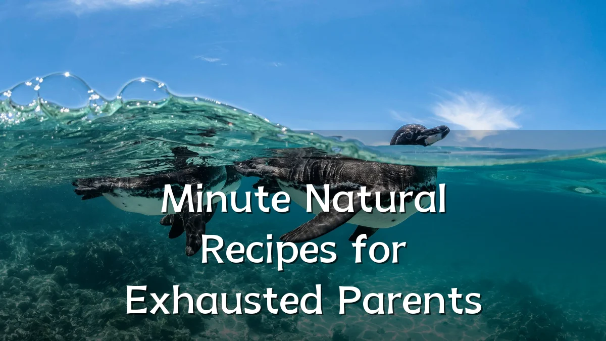 Minute Natural Recipes for Exhausted Parents