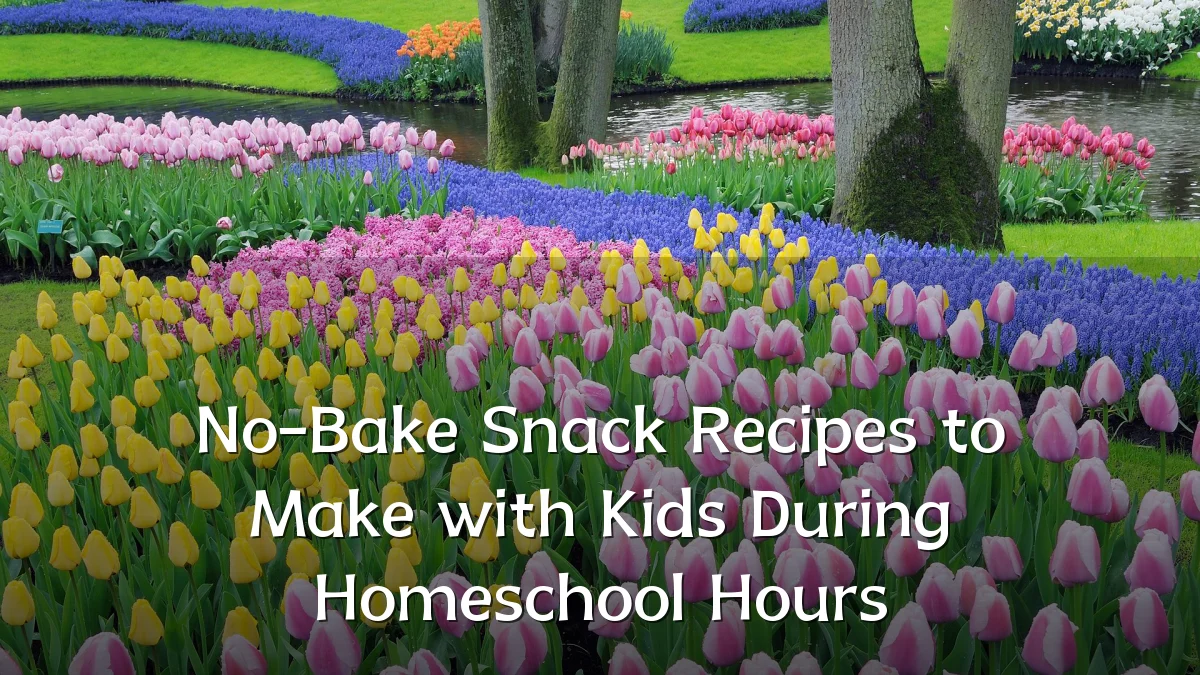 No-Bake Snack Recipes to Make with Kids During Homeschool Hours