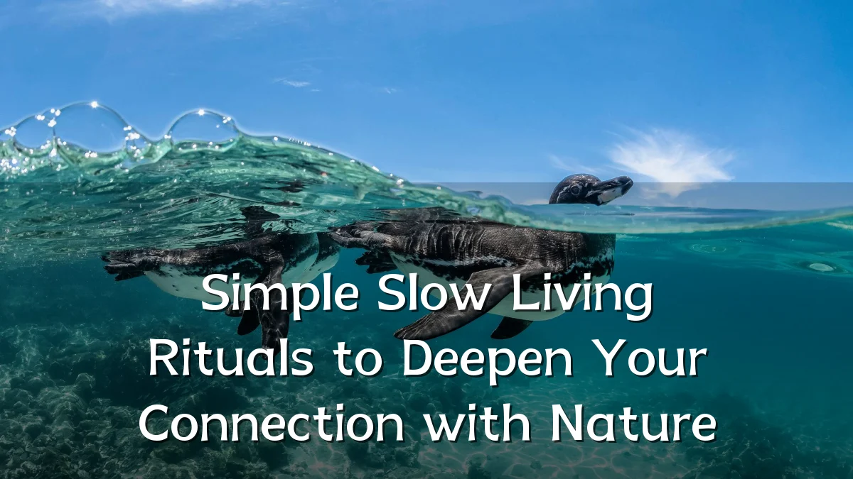 Simple Slow Living Rituals to Deepen Your Connection with Nature