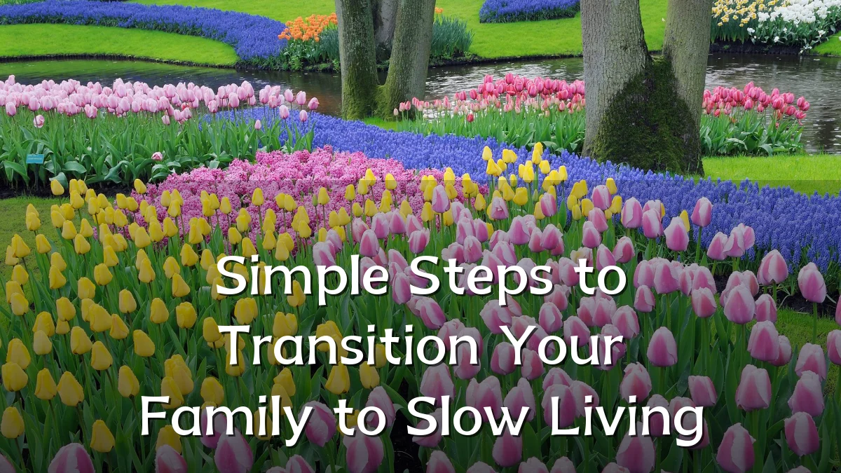 Simple Steps to Transition Your Family to Slow Living
