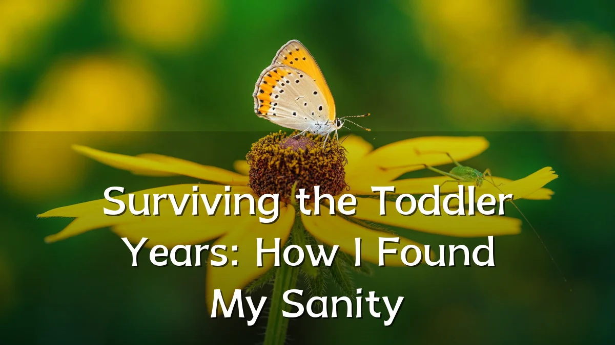 Surviving the Toddler Years: How I Found My Sanity