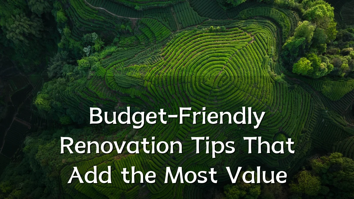 Budget-Friendly Renovation Tips That Add the Most Value