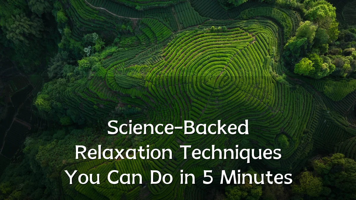 Science-Backed Relaxation Techniques You Can Do in 5 Minutes