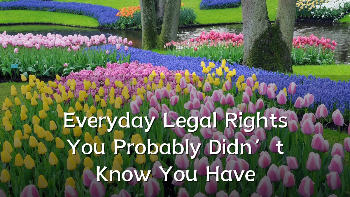 Everyday Legal Rights You Probably Didn’t Know You Have