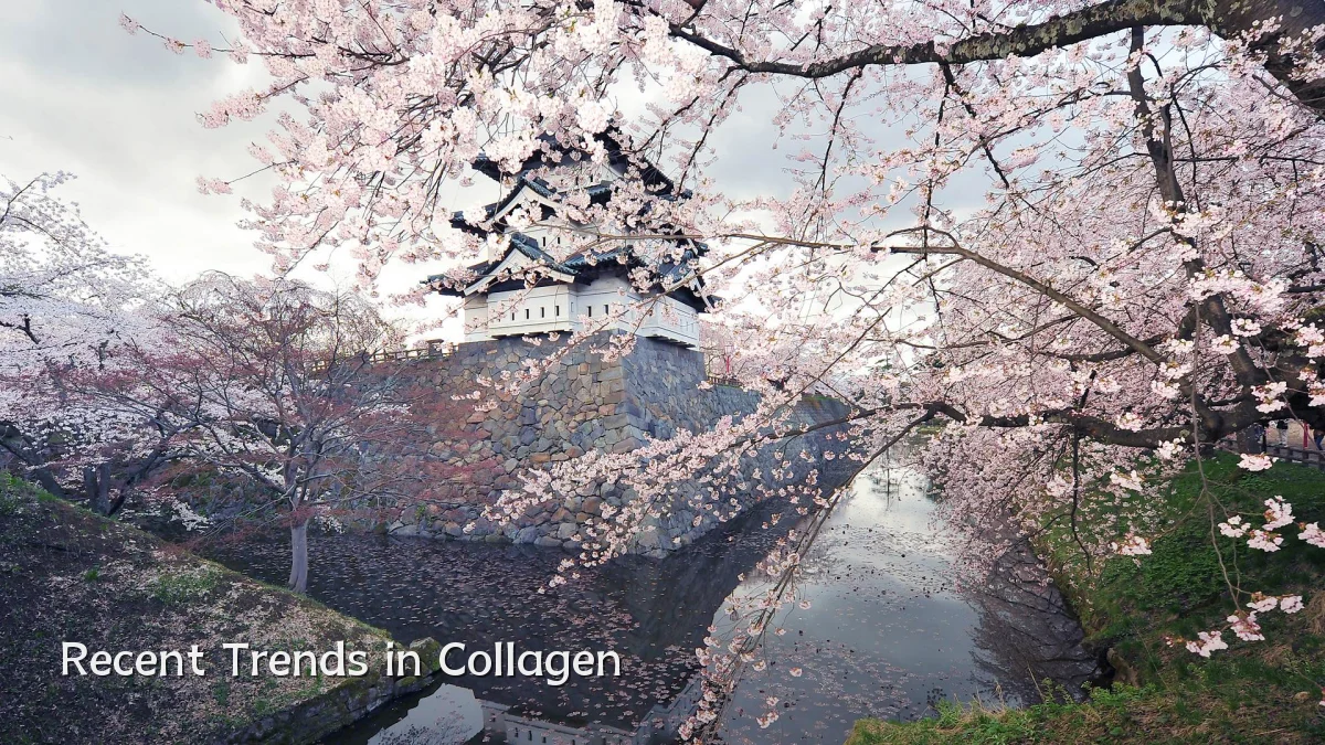 Recent Trends in Collagen
