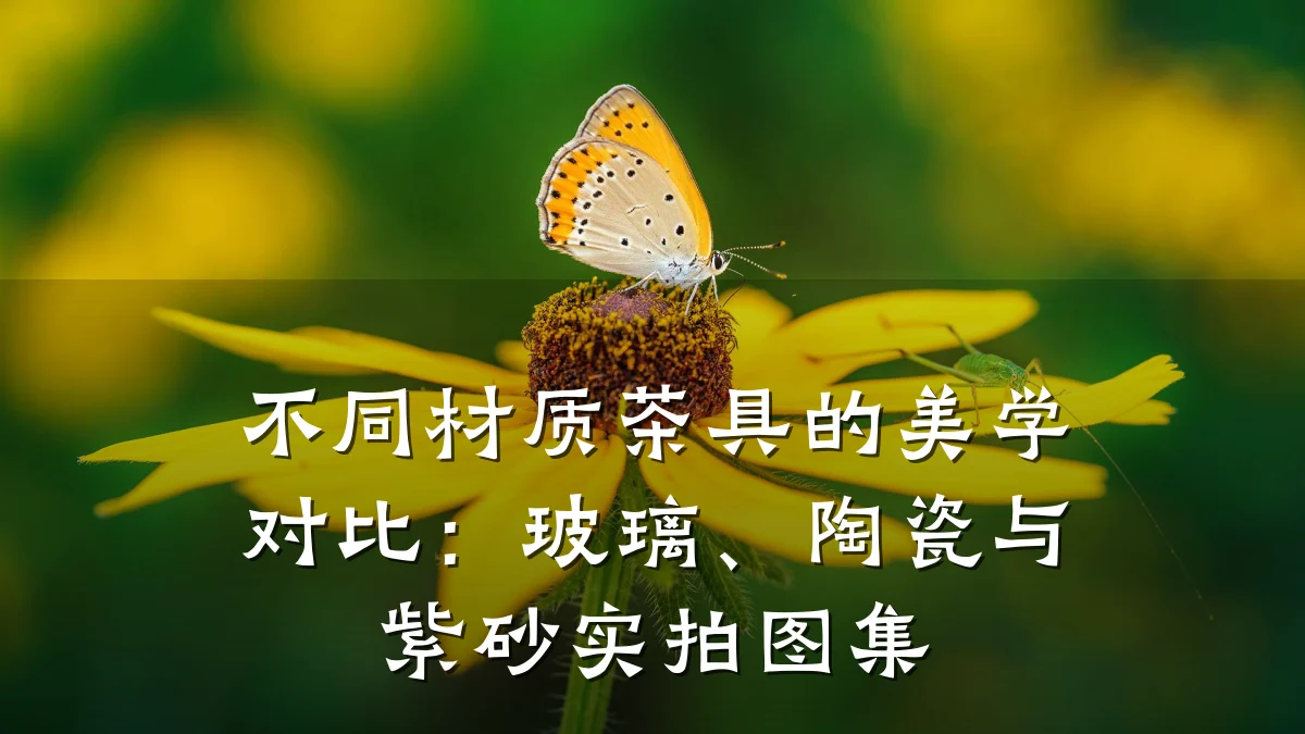 不同材质茶具的美学对比:玻璃、陶瓷与紫砂实拍图集